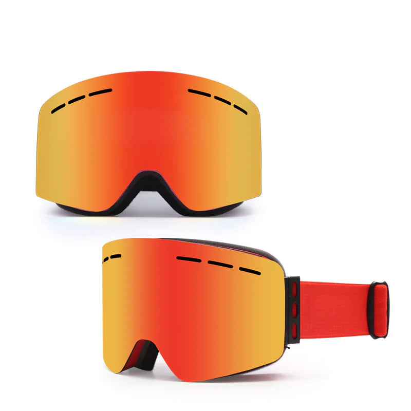 Alpine Vision Pro Goggles
