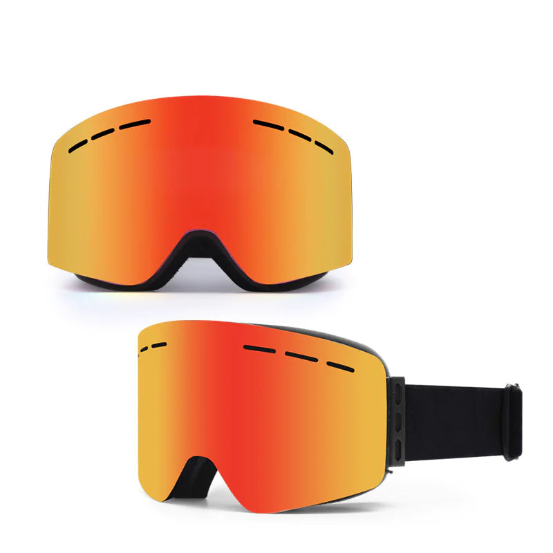 Alpine Vision Pro Goggles