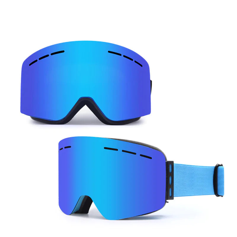 Alpine Vision Pro Goggles