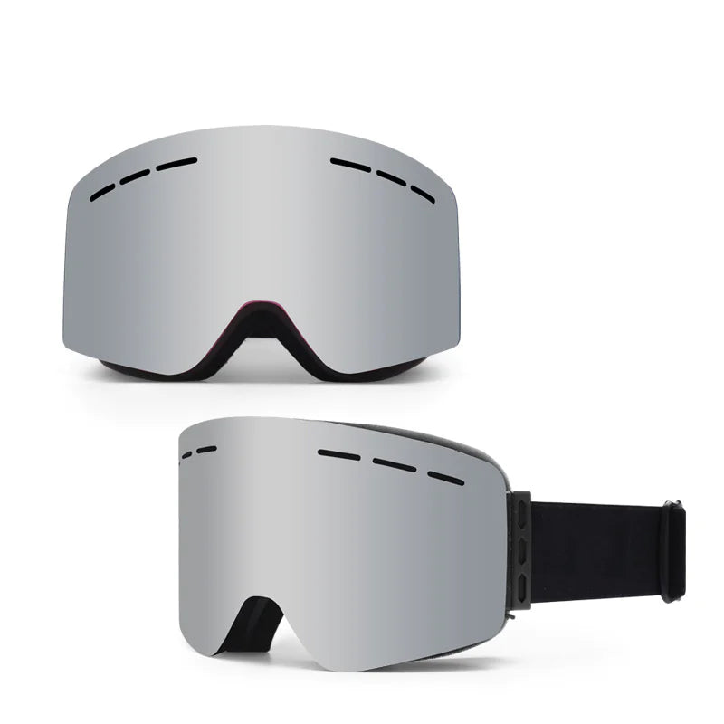 Alpine Vision Pro Goggles