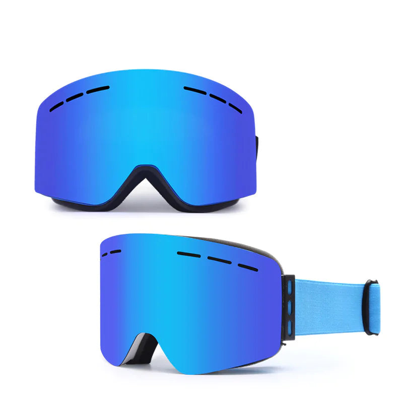 Alpine Vision Pro Goggles