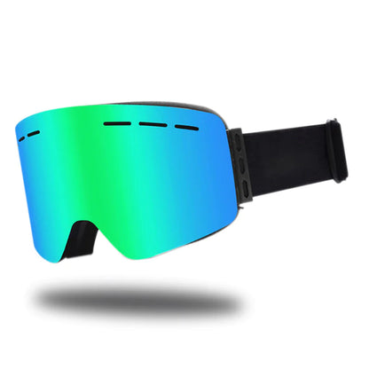 Alpine Vision Pro Goggles