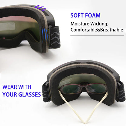 Alpine Vision Pro Goggles