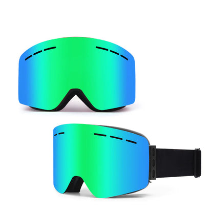 Alpine Vision Pro Goggles