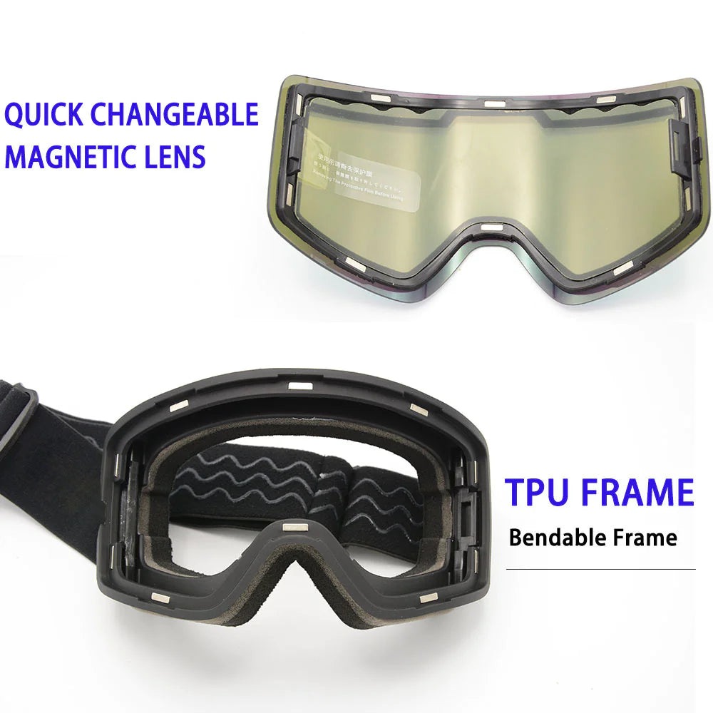 Alpine Vision Pro Goggles