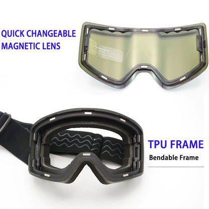 Alpine Vision Pro Goggles
